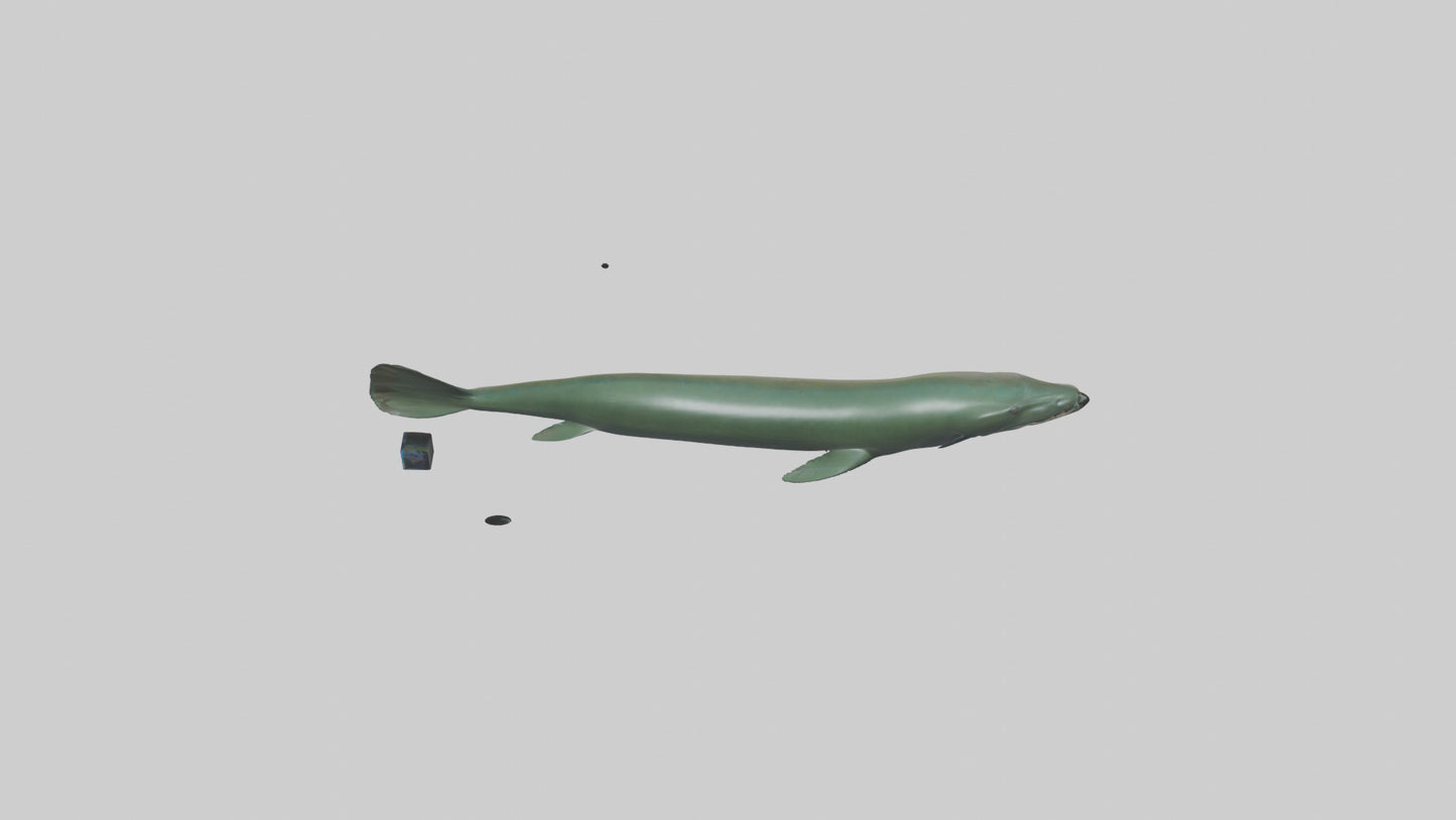 Electric Eel swimming model 3D model