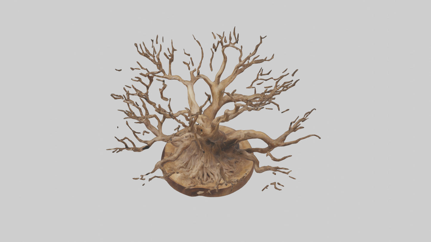 Elegant Root Sculpture model 3D model