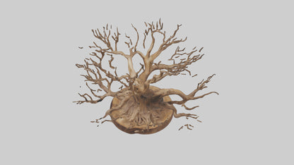 Elegant Root Sculpture model 3D model