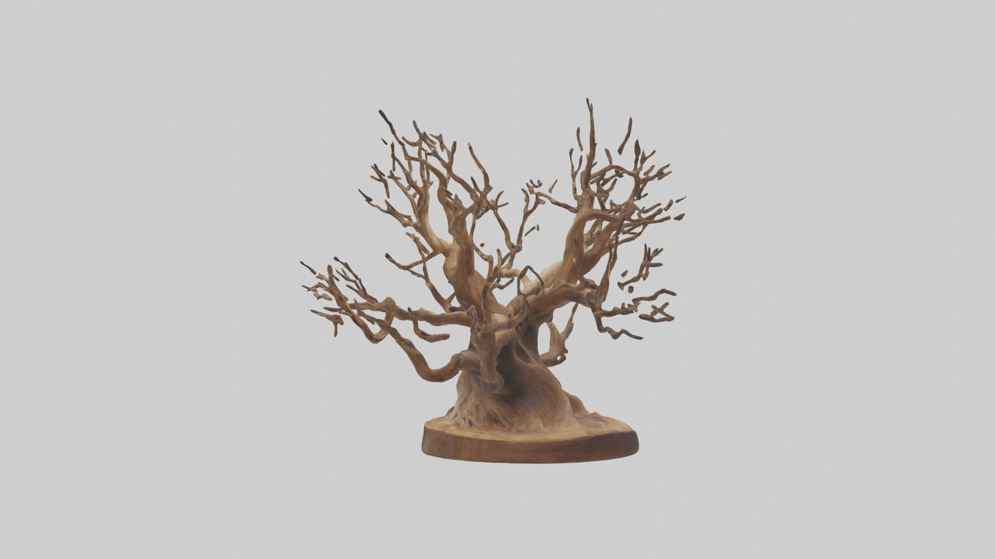 Elegant Root Sculpture model 3D model