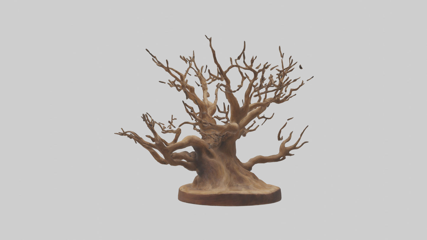 Elegant Root Sculpture model 3D model