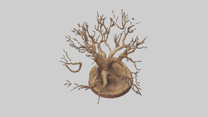 Elegant Root Sculpture model 3D model