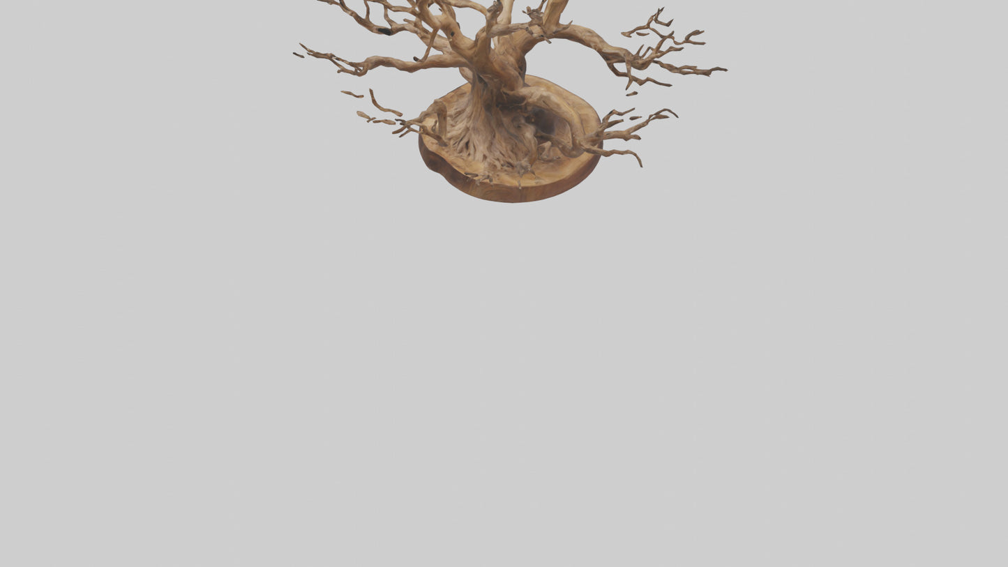 Elegant Root Sculpture model 3D model