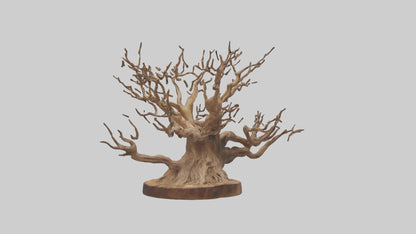 Elegant Root Sculpture model 3D model