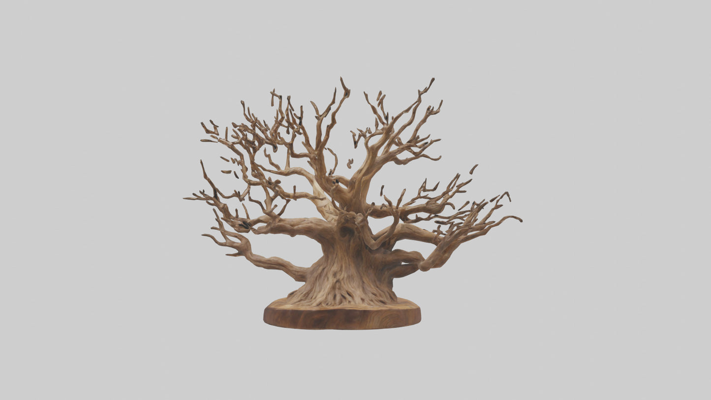Elegant Root Sculpture model 3D model