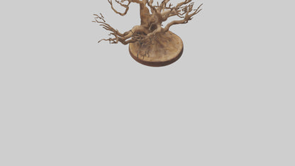 Elegant Root Sculpture model 3D model