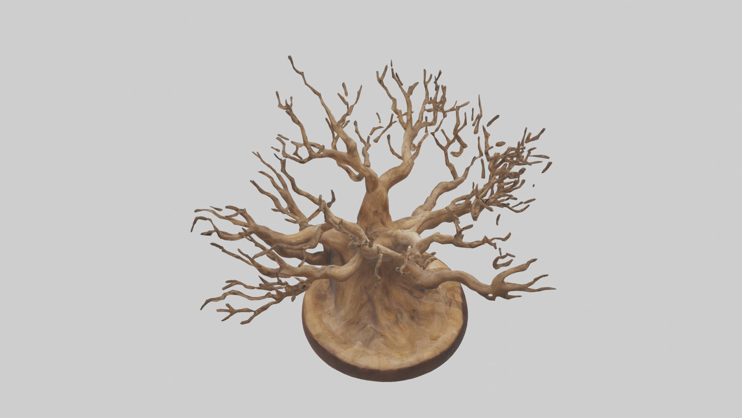 Elegant Root Sculpture model 3D model