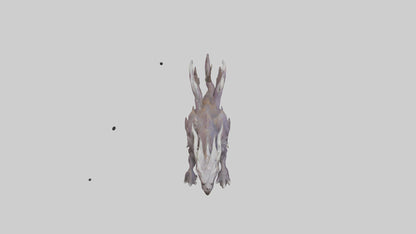 Elemental Beast model 3D model