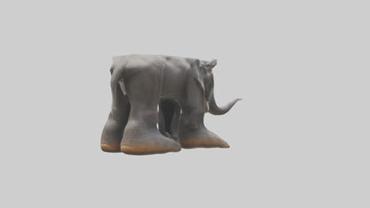 Elephant Feet 3D model
