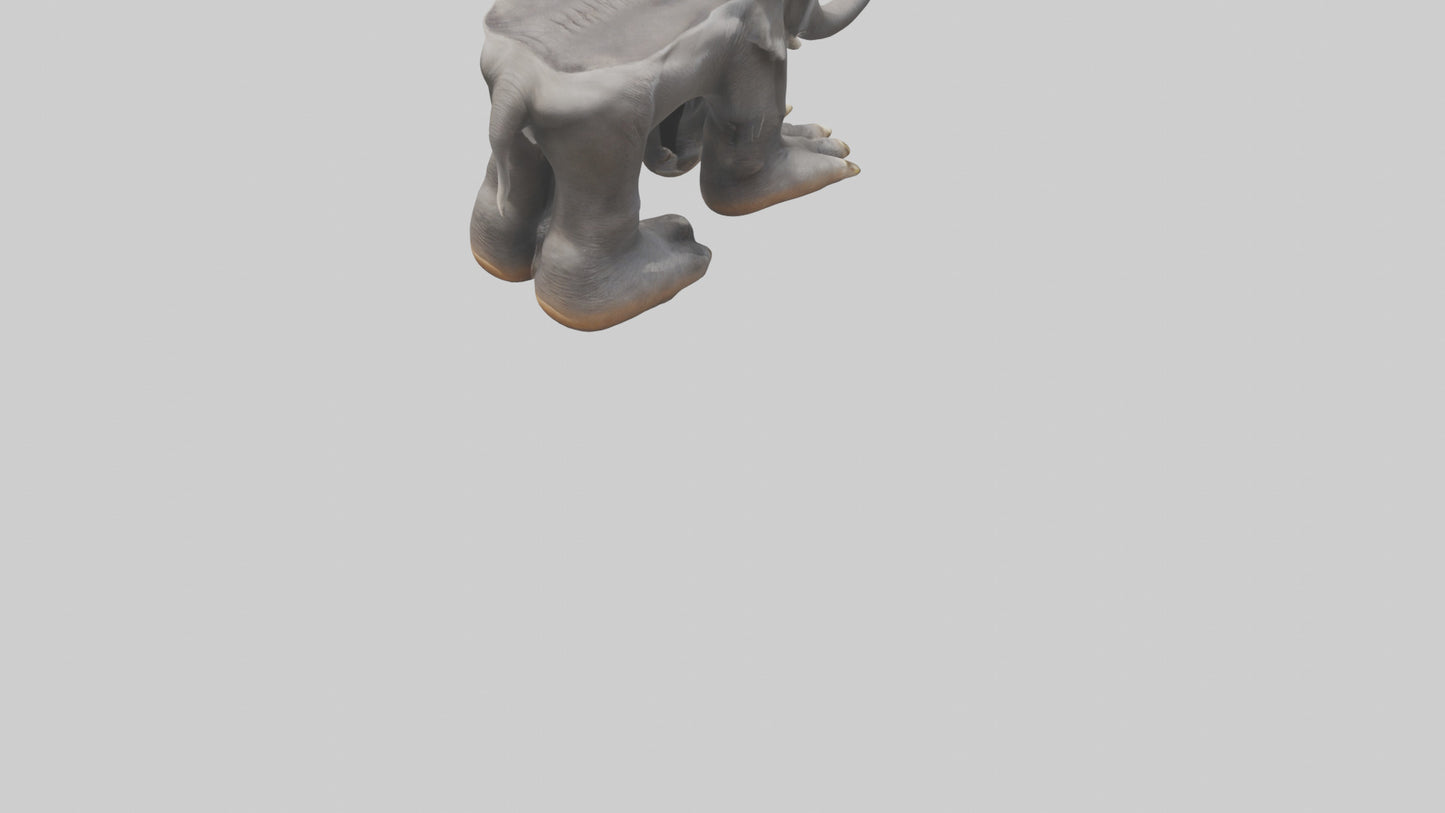 Elephant Feet 3D model