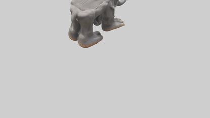 Elephant Feet 3D model