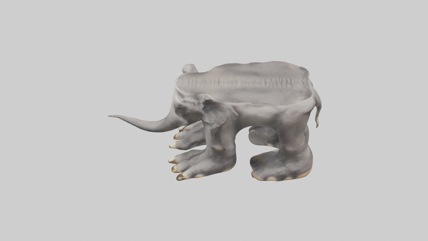 Elephant Feet 3D model