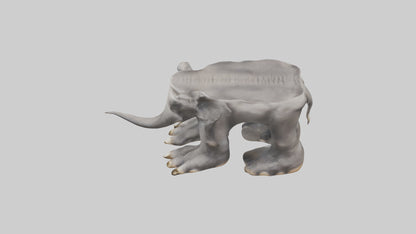 Elephant Feet 3D model