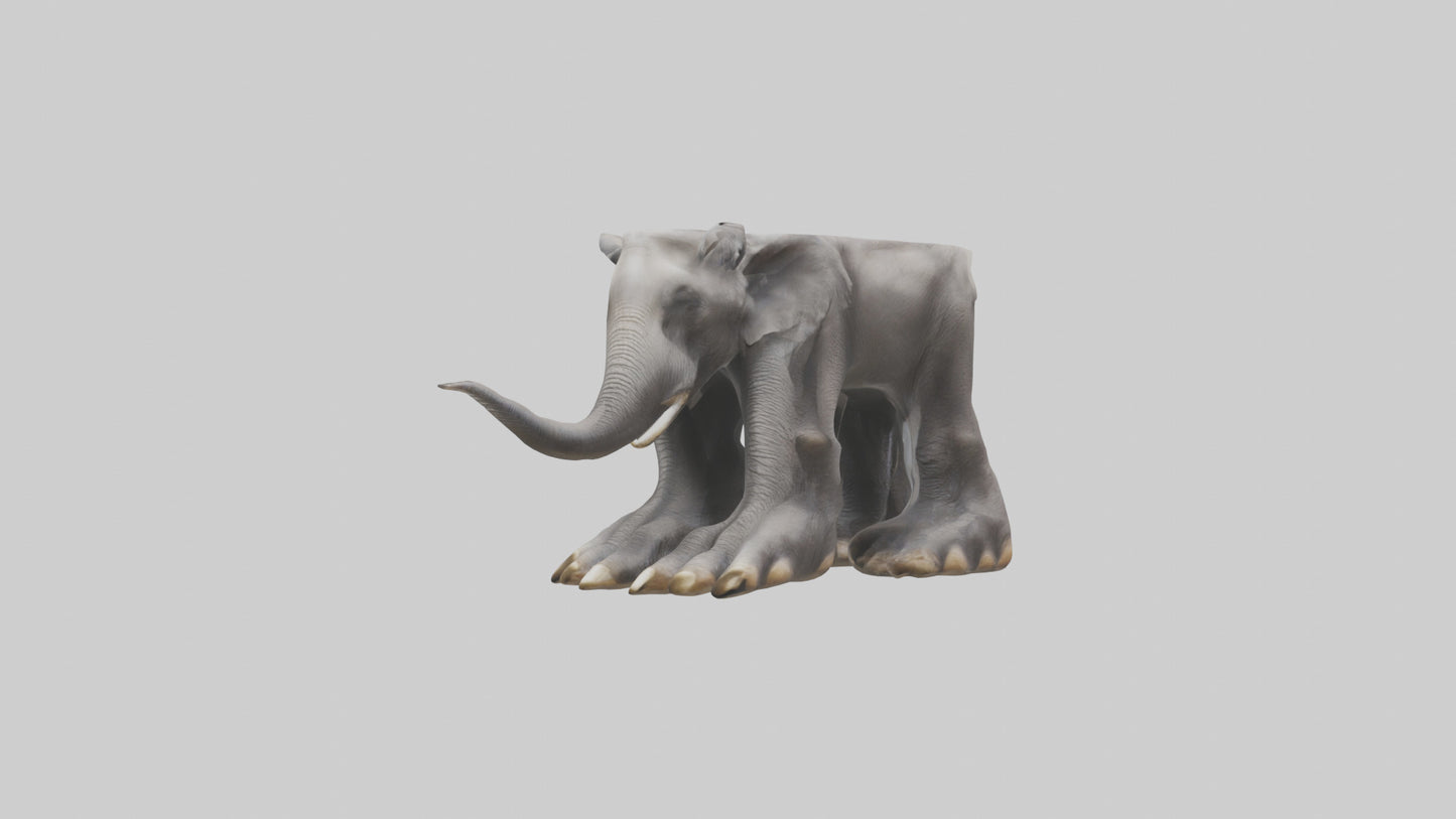 Elephant Feet 3D model