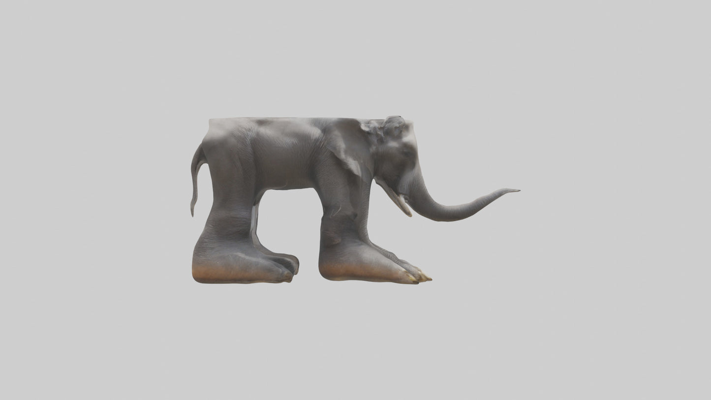 Elephant Feet 3D model