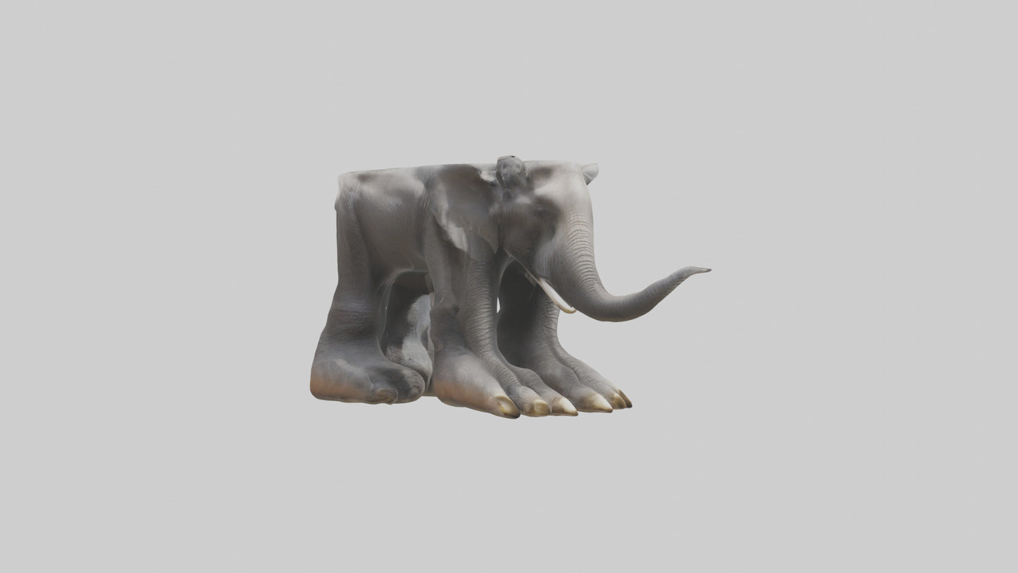 Elephant Feet 3D model