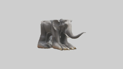 Elephant Feet 3D model