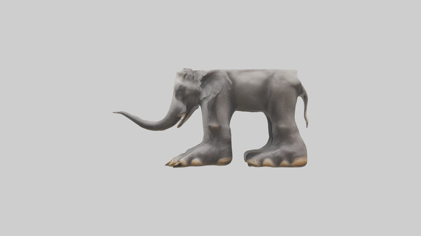 Elephant Feet 3D model