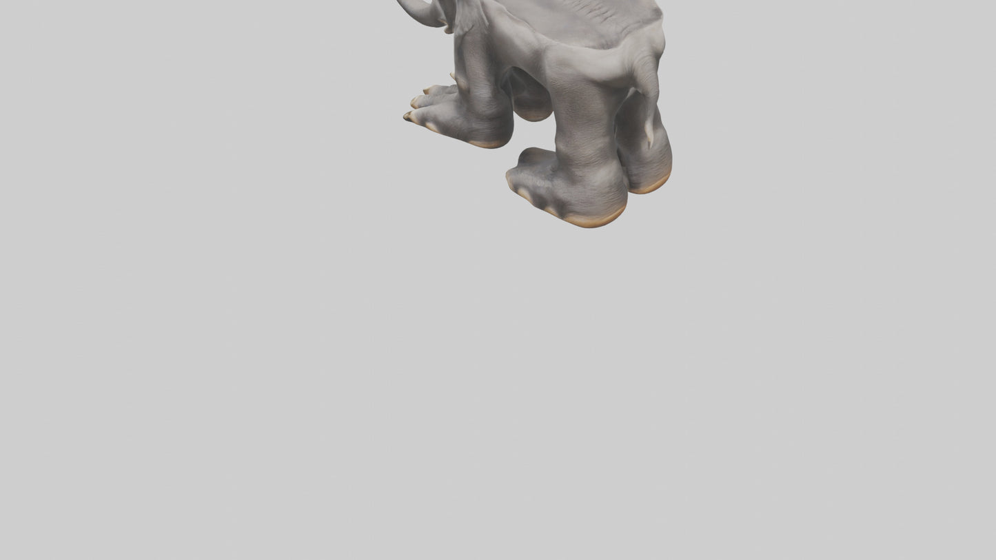 Elephant Feet 3D model