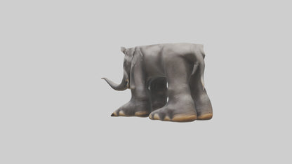 Elephant Feet 3D model