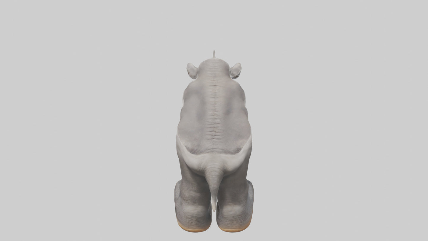 Elephant Feet 3D model