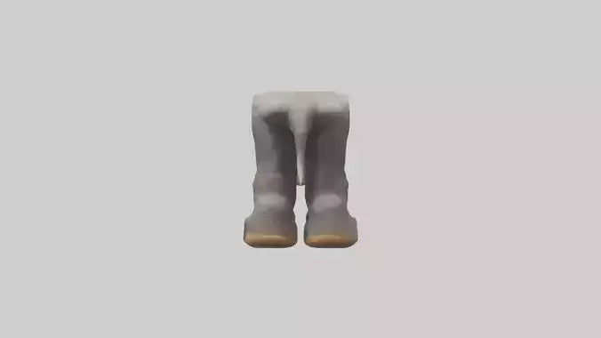 Elephant Feet 3D model