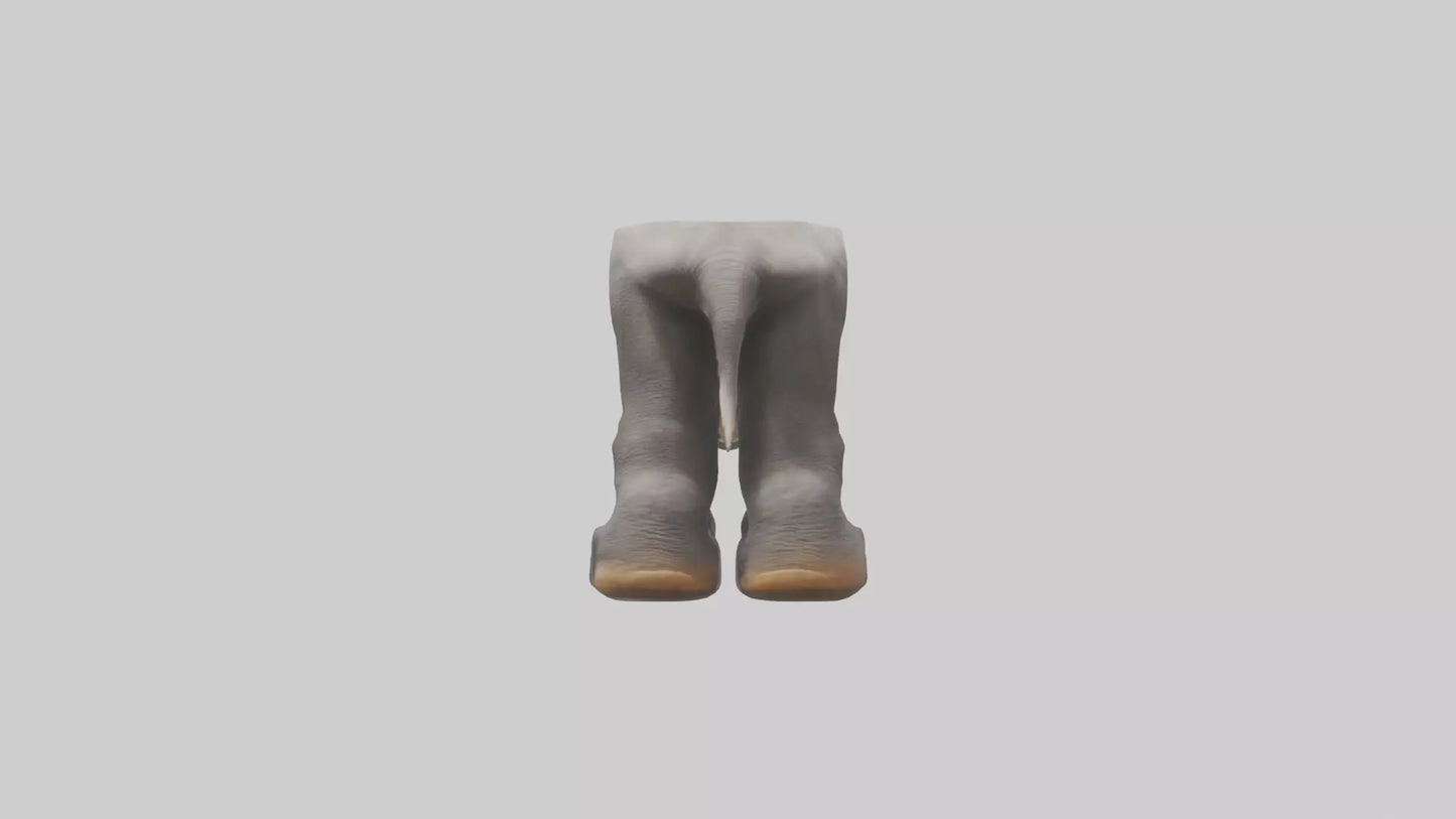 Elephant Feet 3D model