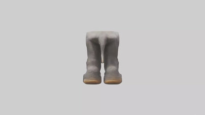 Elephant Feet 3D model