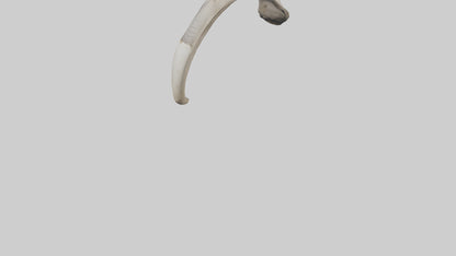 3D model Elephant Femur VR / AR / low-poly