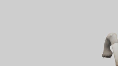 3D model Elephant Femur VR / AR / low-poly