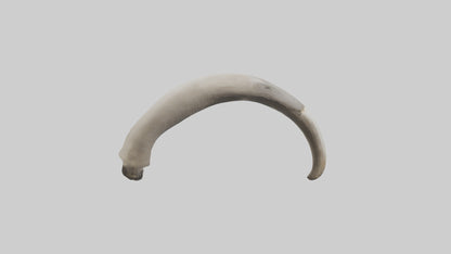 3D model Elephant Femur VR / AR / low-poly