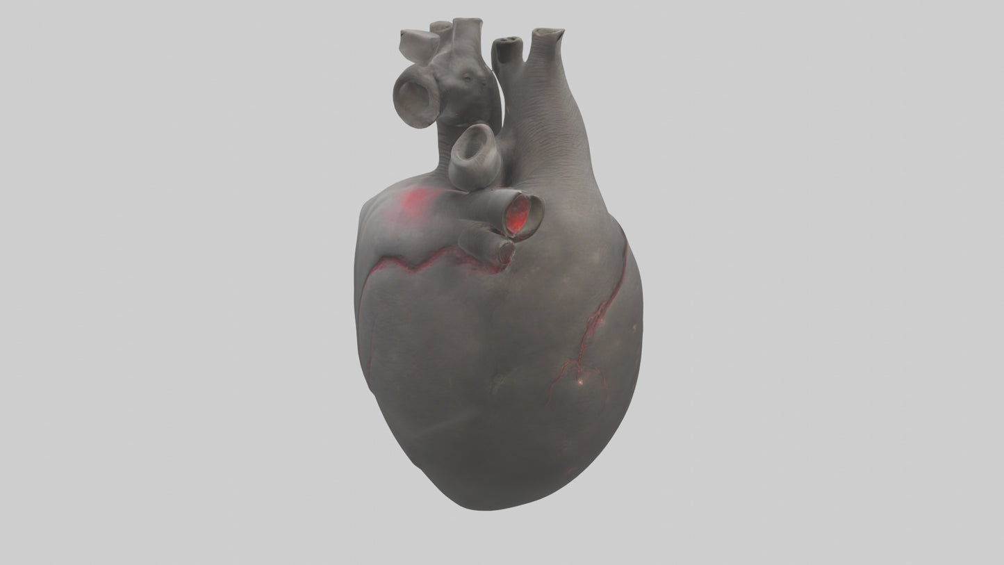 Elephant Heart 3D model