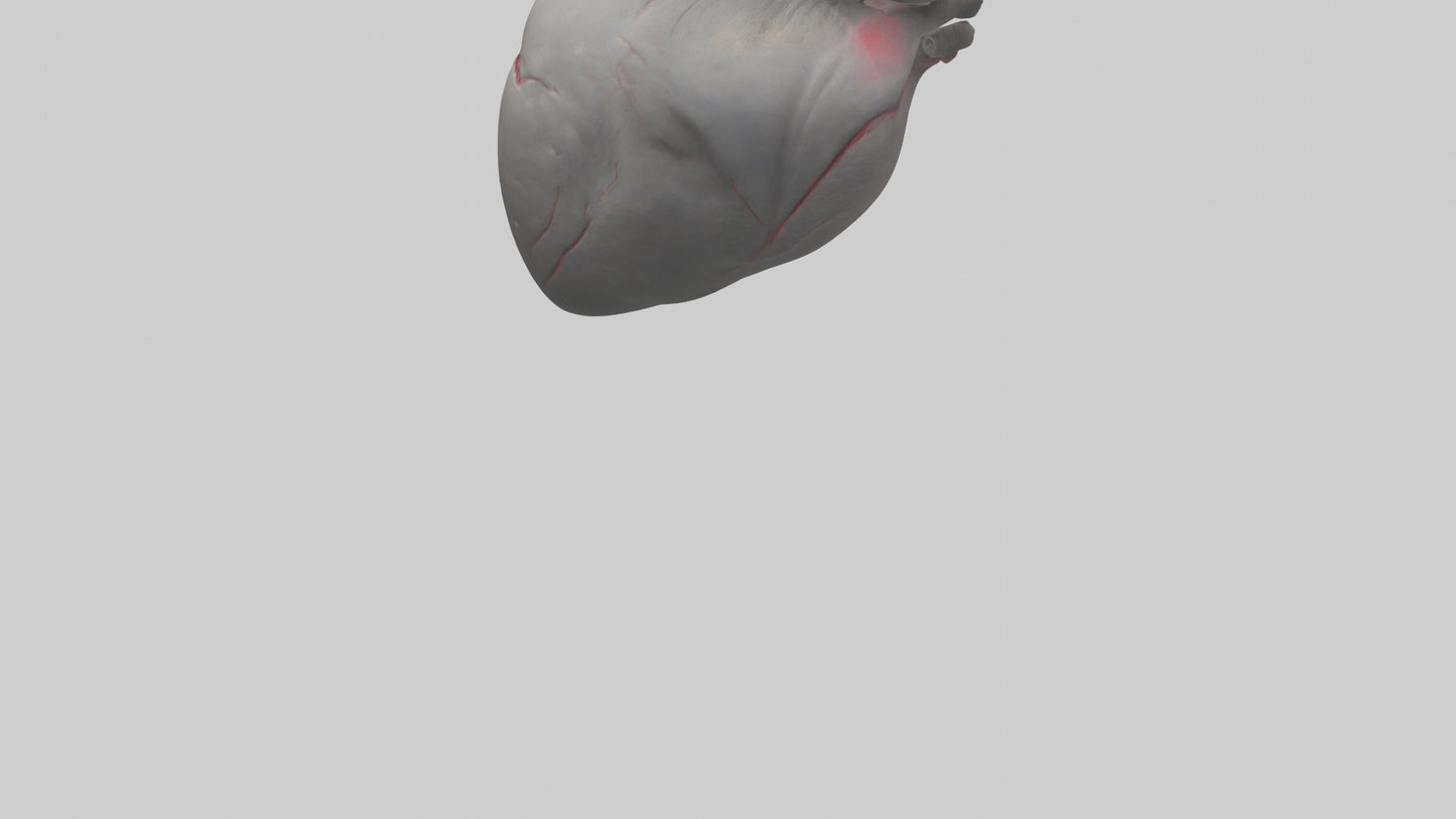 Elephant Heart 3D model