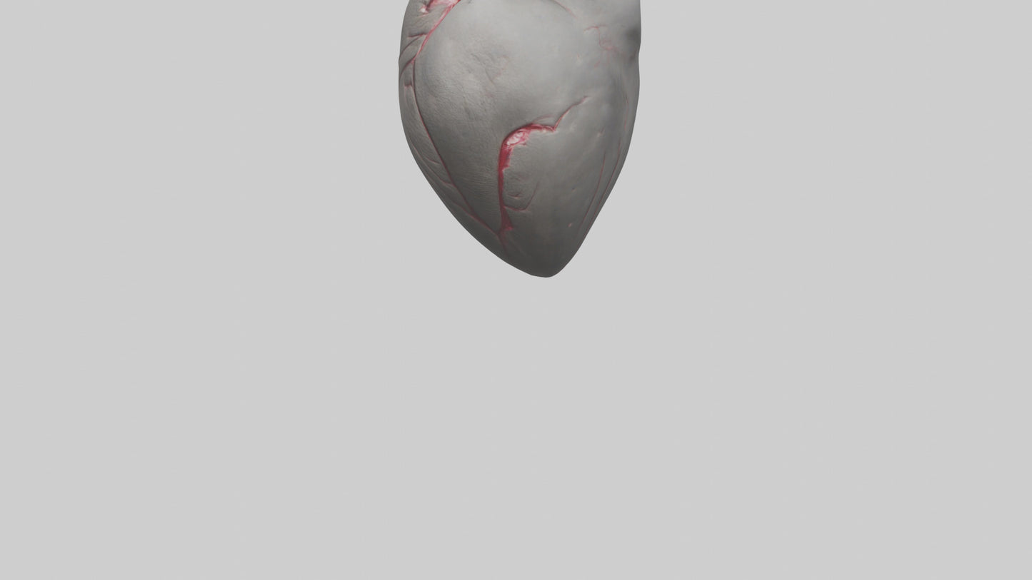 Elephant Heart 3D model