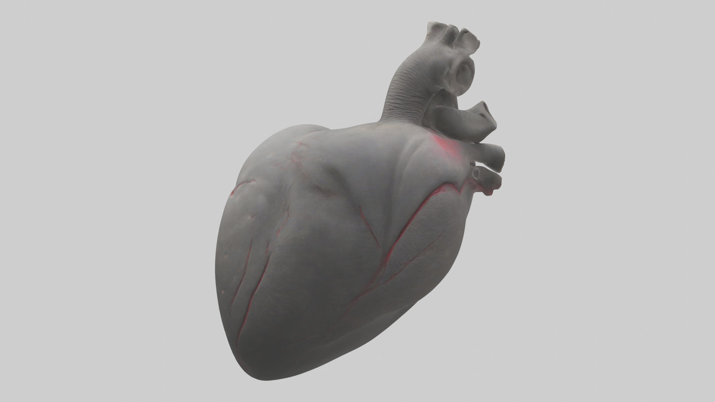 Elephant Heart 3D model