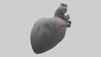 Elephant Heart 3D model