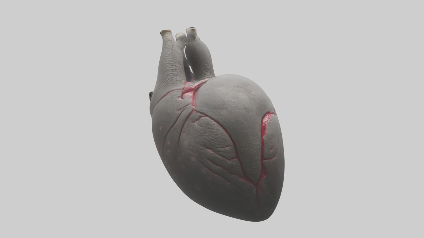 Elephant Heart 3D model