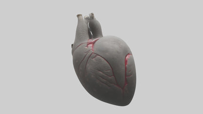Elephant Heart 3D model