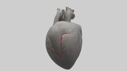 Elephant Heart 3D model