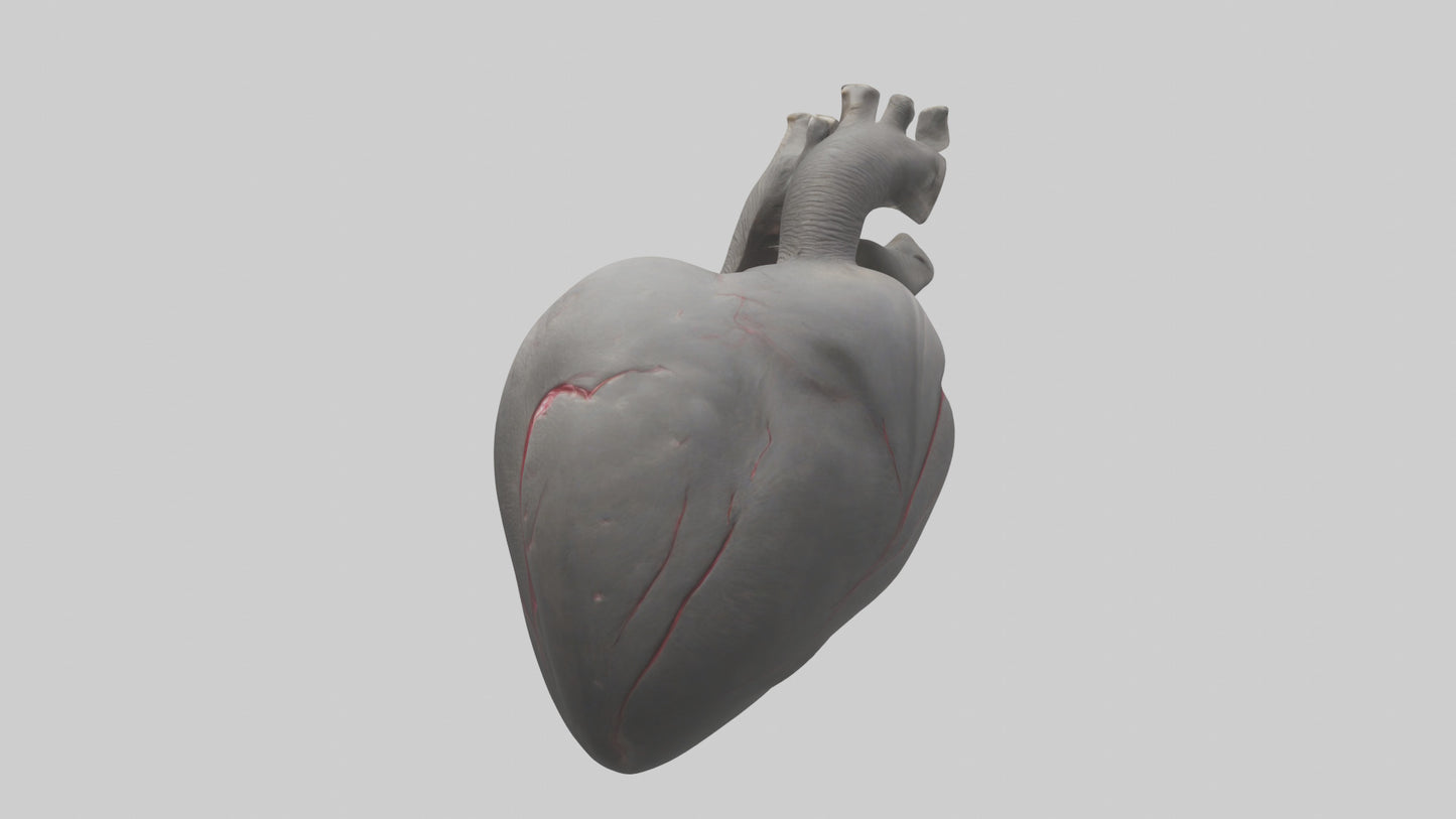 Elephant Heart 3D model