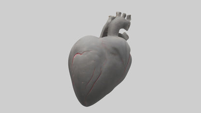 Elephant Heart 3D model