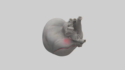 Elephant Heart 3D model