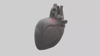 Elephant Heart 3D model