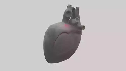 Elephant Heart 3D model