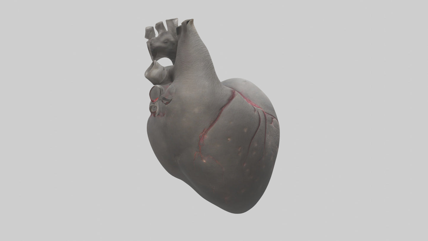 Elephant Heart 3D model