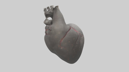 Elephant Heart 3D model