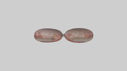 3D model Elephant Kidneys VR / AR / low-poly