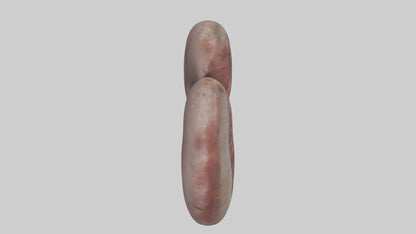 3D model Elephant Kidneys VR / AR / low-poly