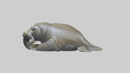 Elephant Seal statue model 3D model