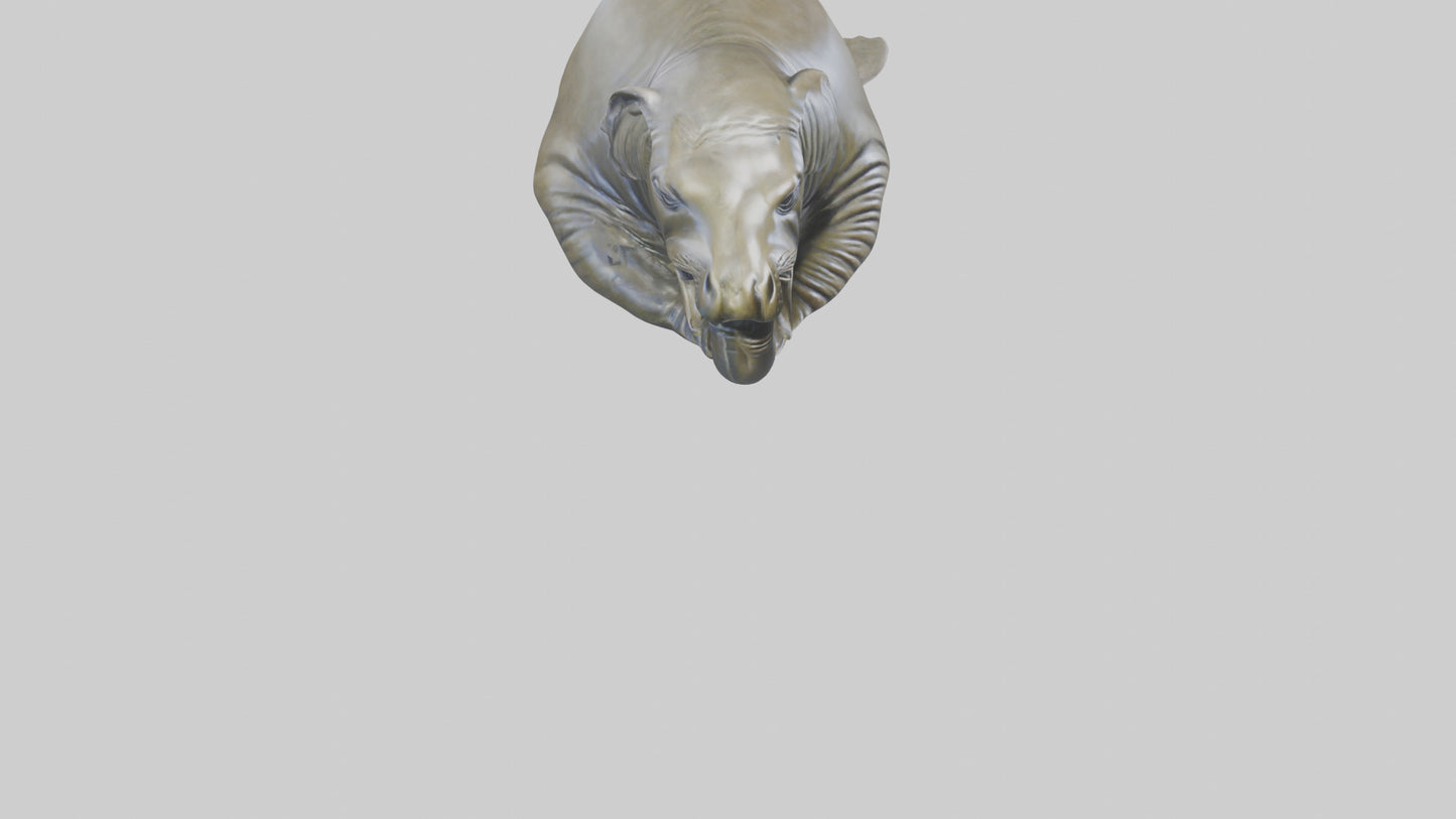 Elephant Seal statue model 3D model